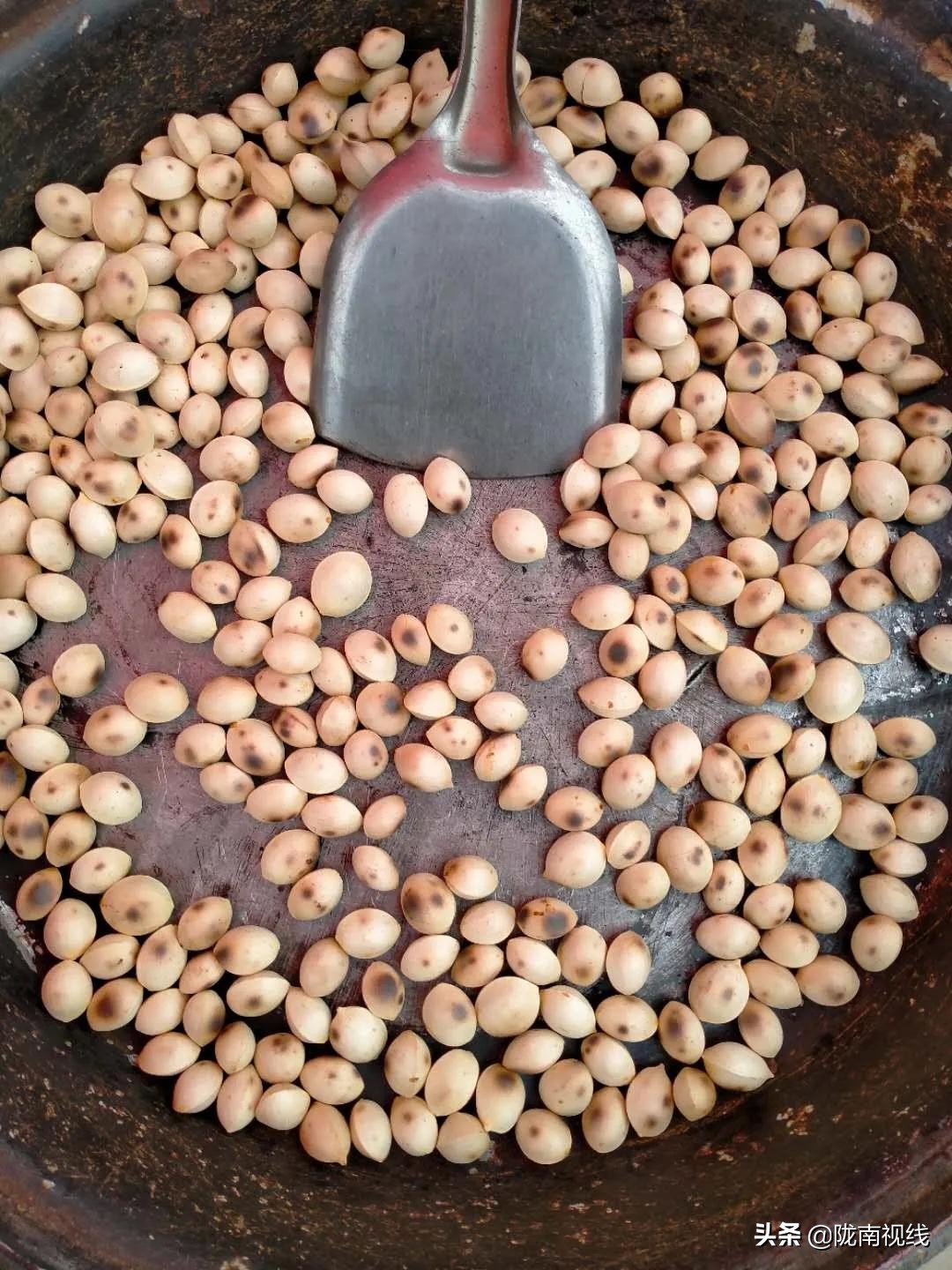 椋庡摜寰掓鐩存挱,闄囧崡椋庡摜璧勮