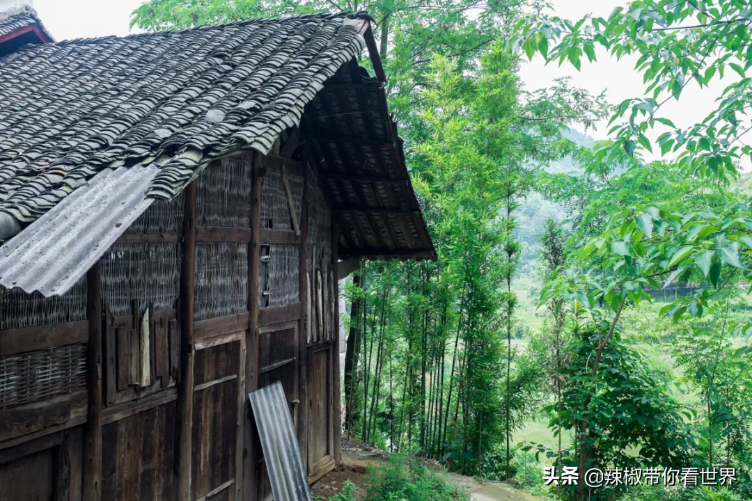 从西到东：贵州——沿河流“黔”行在这里一万种辣椒吃法向你奔来