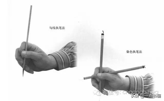 工笔画菊花入门教程步骤图,黄色工笔菊花的上色过程