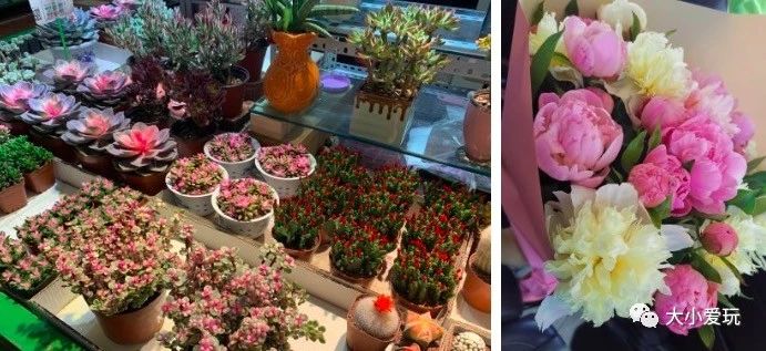 可以逛的花卉市场,值得去看的花卉市场