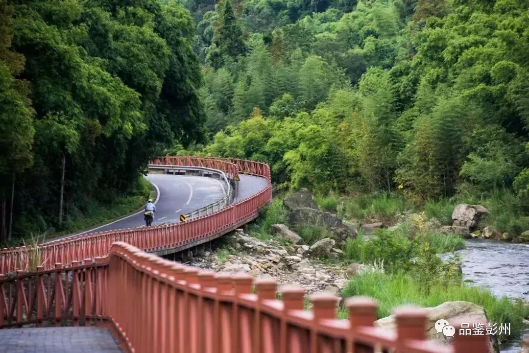 五朵金花组团出战,五朵金花齐聚的时候