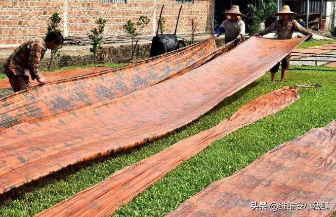 宋庆龄故居香云纱旗袍,香云纱宋美龄宋庆龄