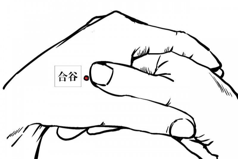 脸上有斑脏腑有瘀中医教你巧化斑,脸上有斑别烦恼老中医推荐2种