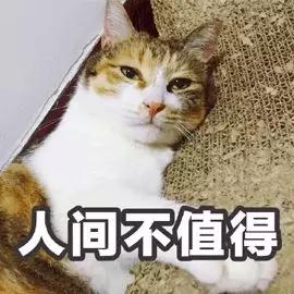 嘀，您的小*瓶金**，疑似假货，请确认一下