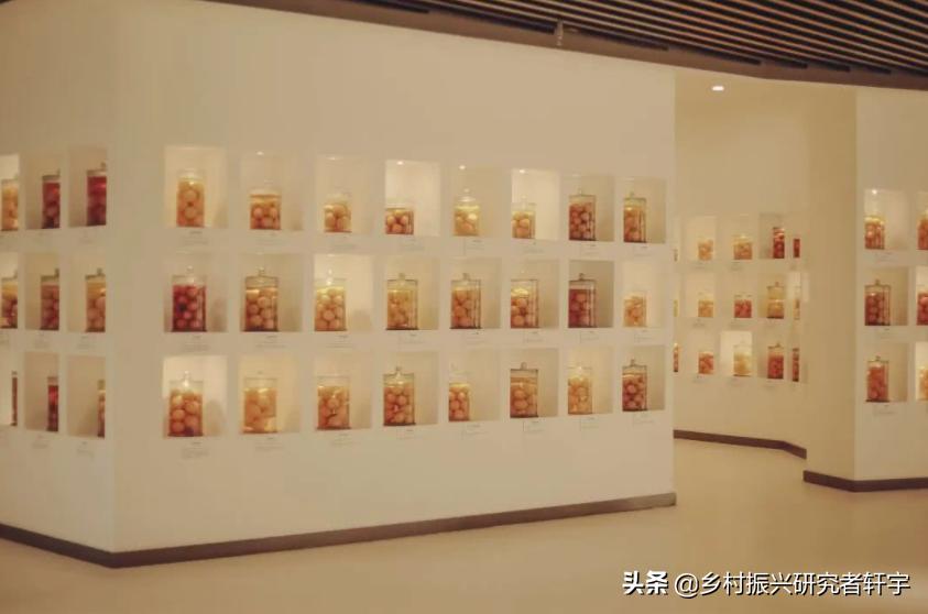 乡村振兴特点产业的重要特征是,乡村振兴一二三产业分别指什么