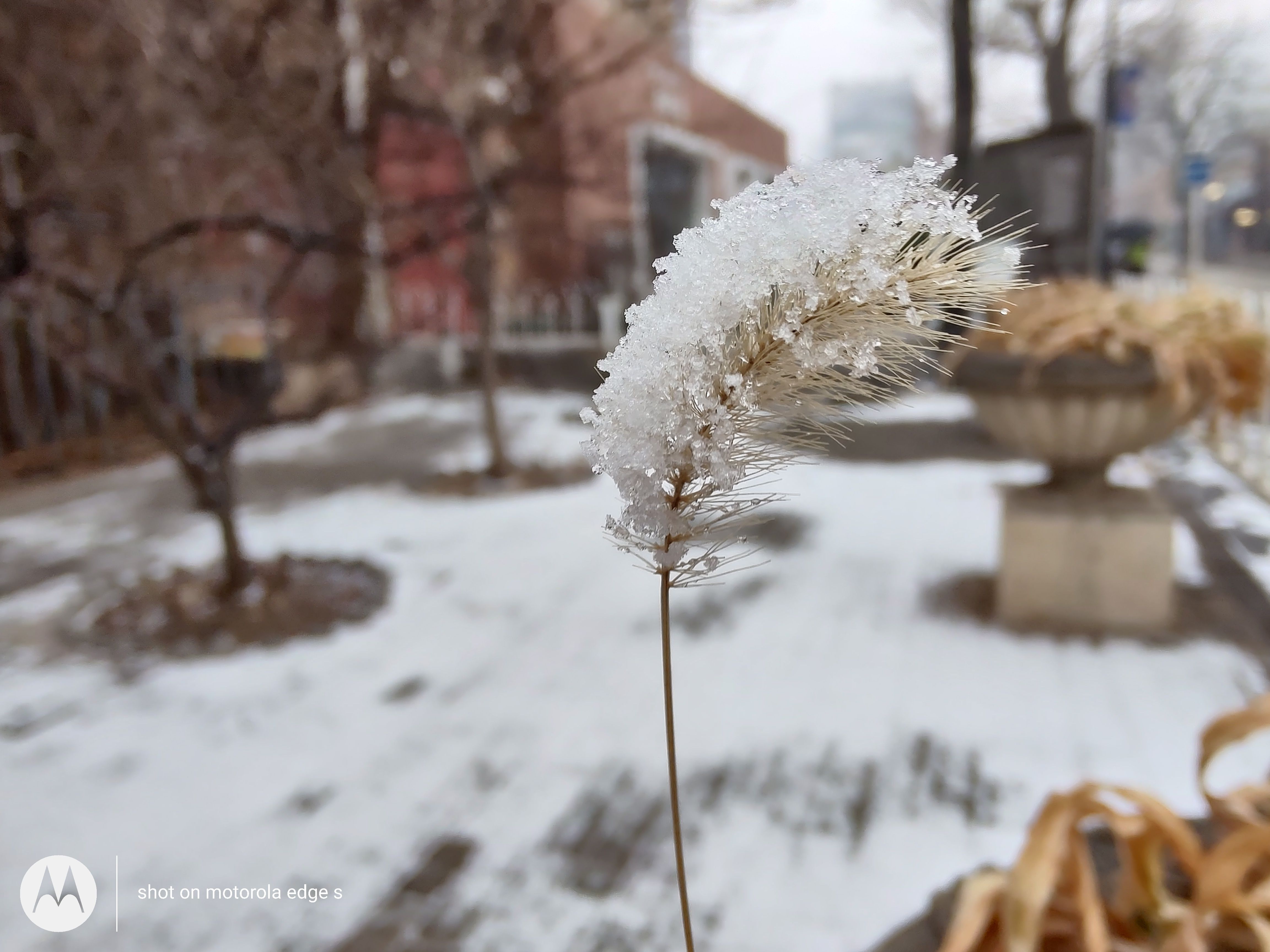 motorolaedges体验首发骁龙870,motorolaedges30值得买吗