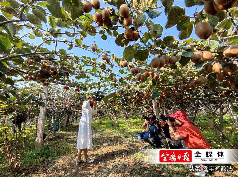 宝鸡四个区的发展前景,宝鸡市经济发展分析