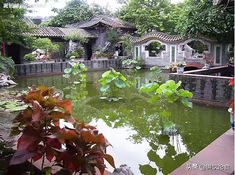 春节顺德自由行攻略,春节顺德游玩攻略