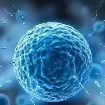 老公精子不液化会影响怀孕吗？