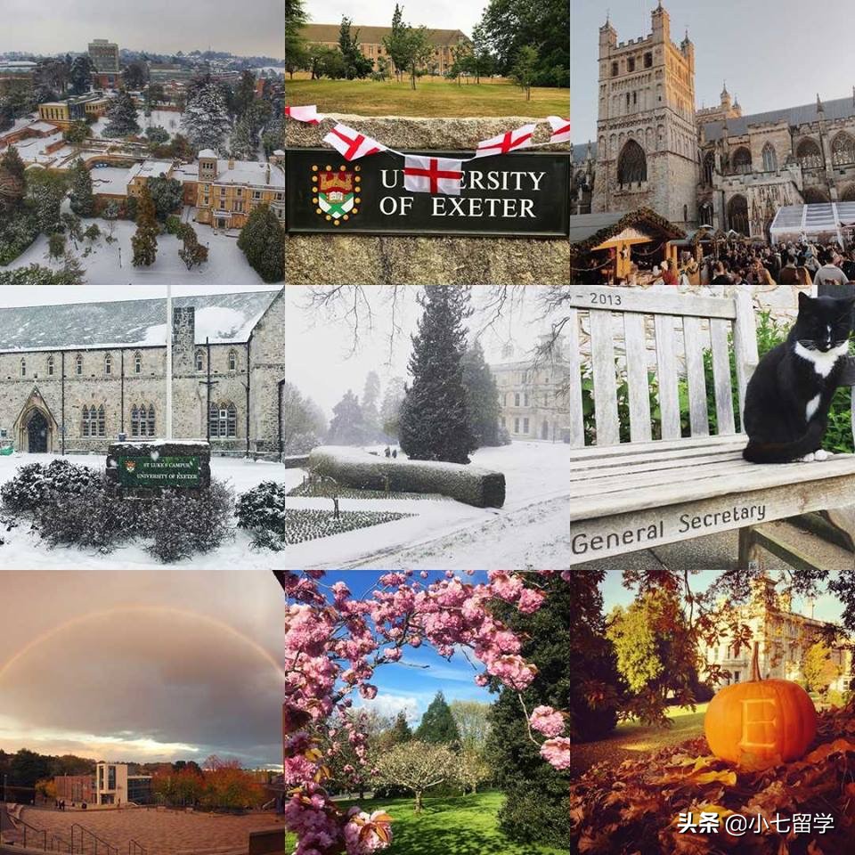 埃克塞特大学留学读研,英国埃克塞特大学申请条件