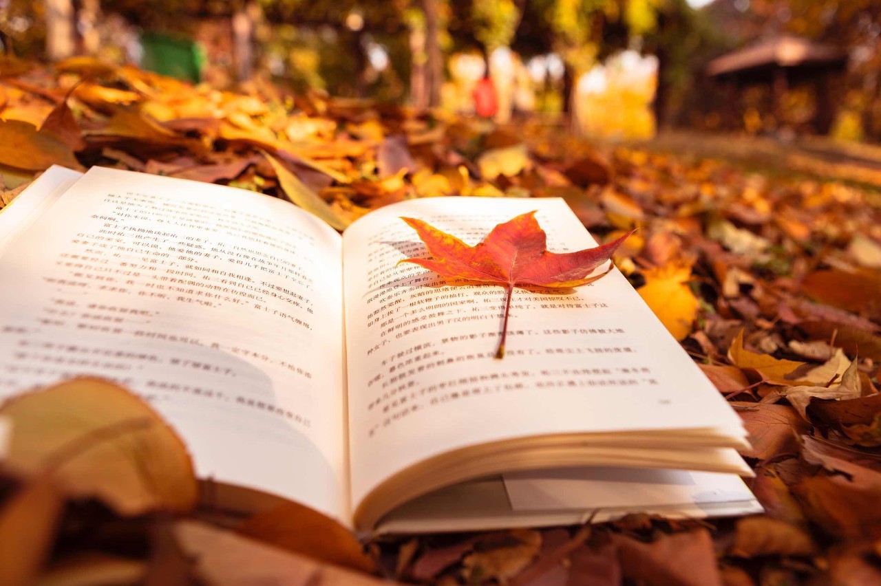 孔网买书能讲价吗,网上买书为什么价格都不一样