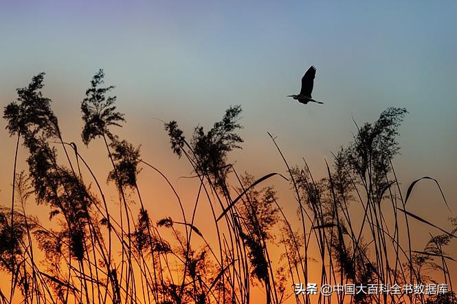 花朝麦秋小阳春来感受下各月雅称里的寒来暑往秋收冬藏