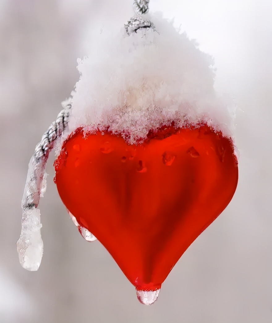 狮子座的爱情观和分析,狮子座骄傲还是处女座骄傲