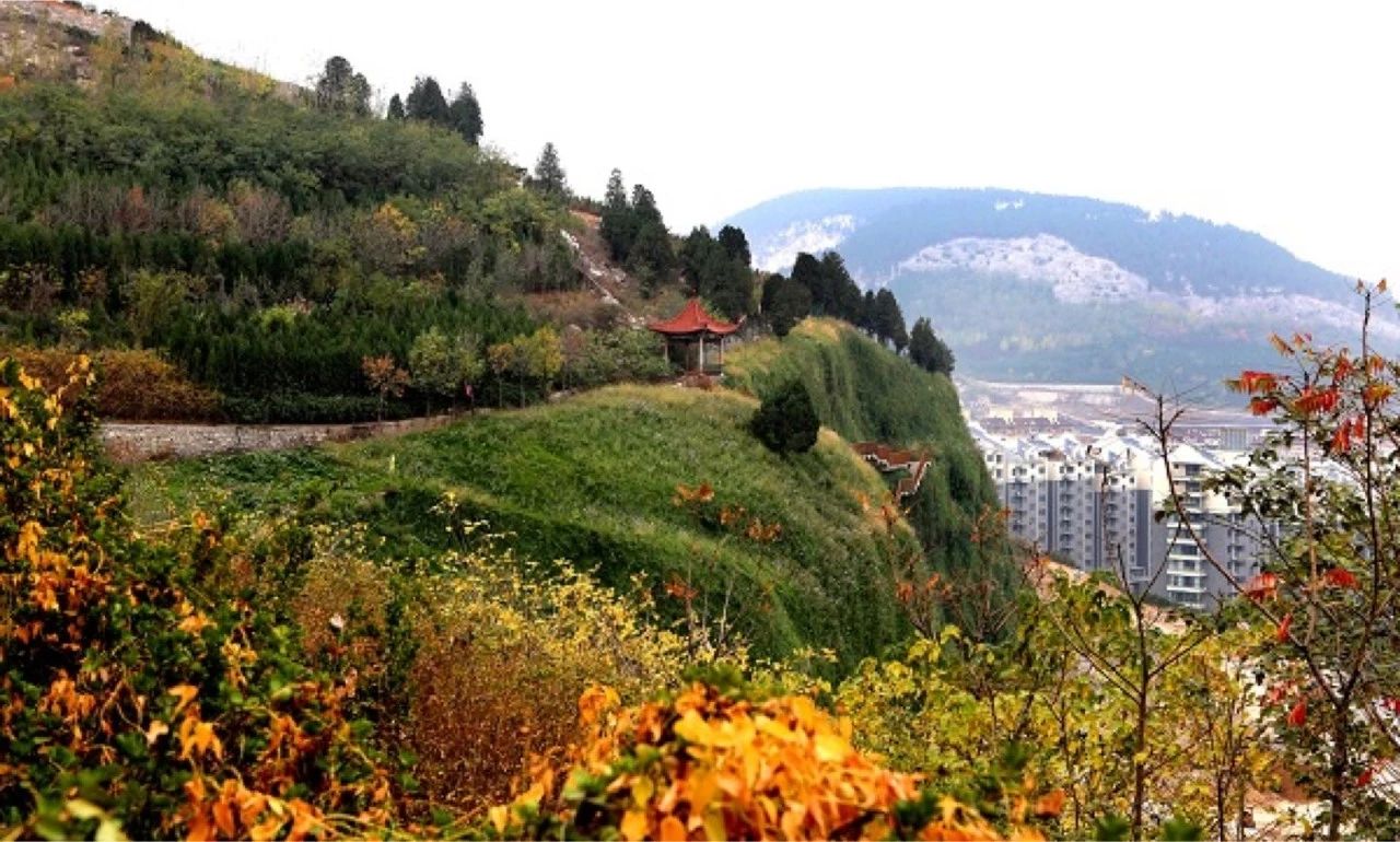 济南免费遛娃的地方,济南市十一带娃游玩好去处