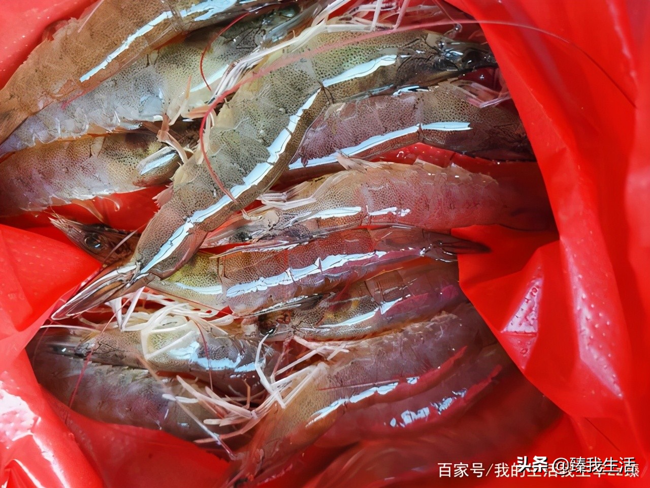 广东韭黄炒滑蛋虾仁秘诀,鲜虾鸡蛋炒韭黄