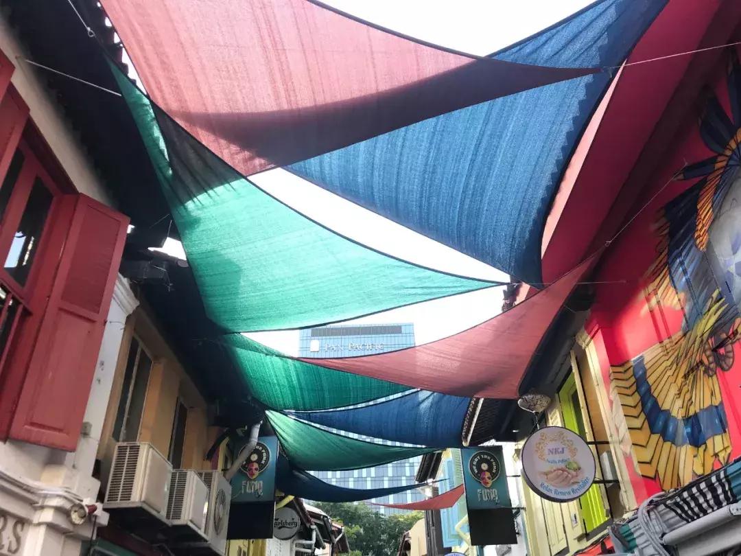 “南洋”见闻略：开怀有自新加坡