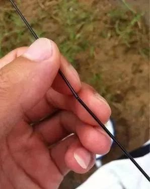 8个雷区不该踩,对付断竿的最好方法