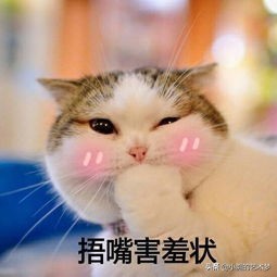 如何学好播音技巧,播音技巧包含哪些技术内容