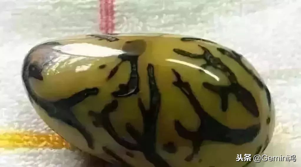 文玩金刚菩提快速包浆神技十条,菩提包浆时用文玩袋还是密封袋