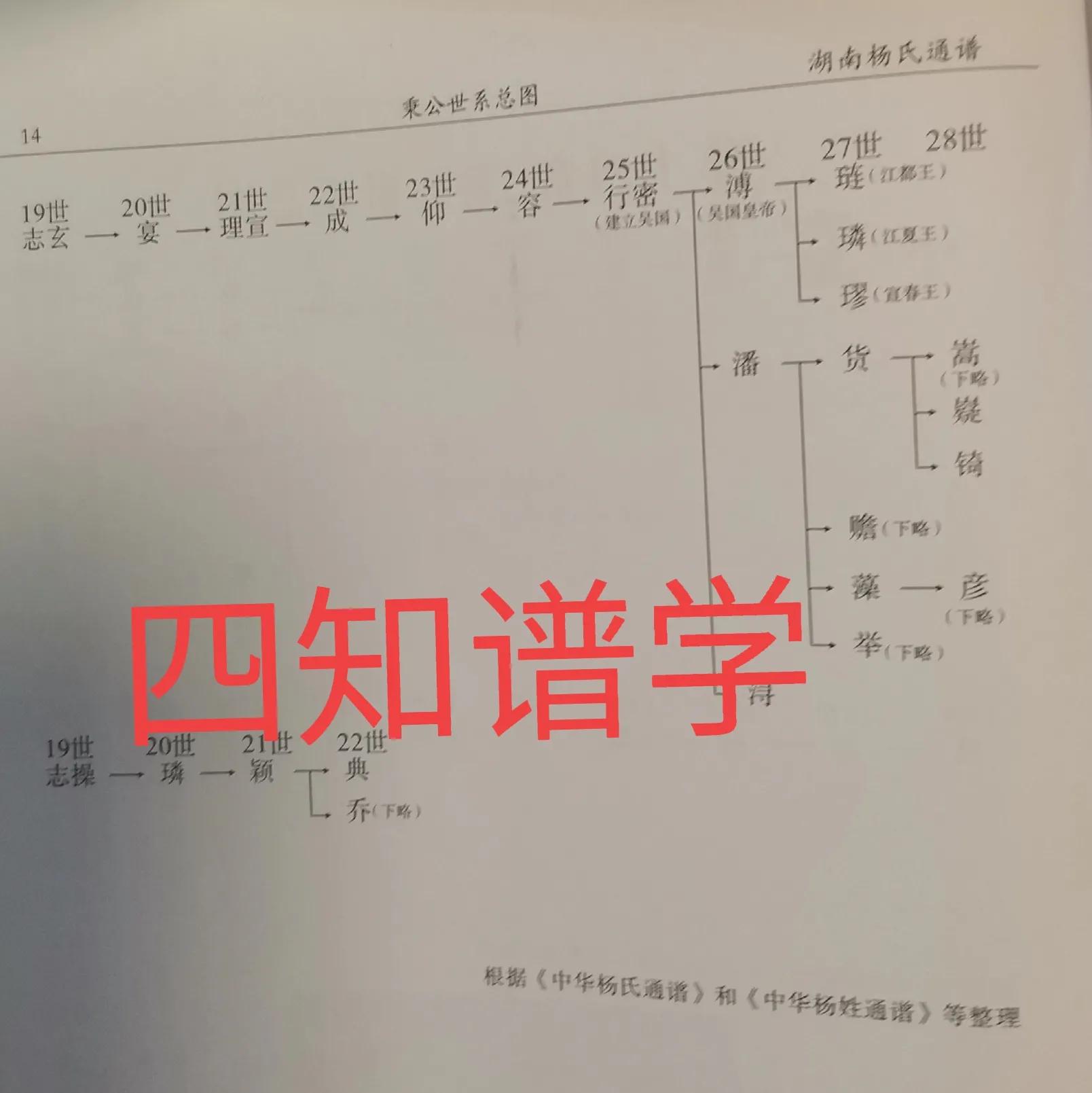 杨姓的起源简介,杨姓的起源和百家姓排行