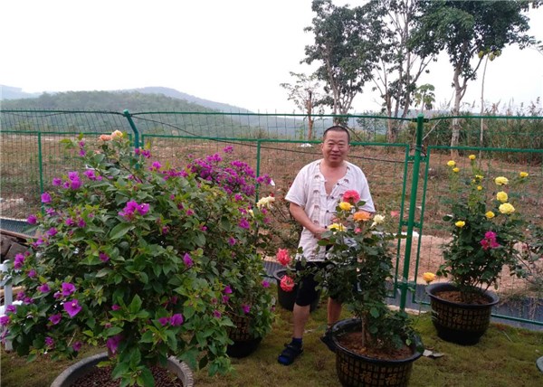 「视频」李春泉老师作品展