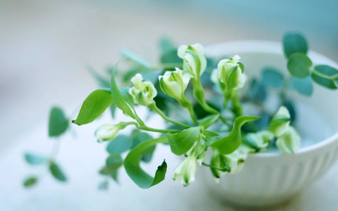 鍙屽煄灏戝効缁樼敾澶ц禌,鍐呮睙澶у崈鏁呴噷涓囧悕鍎跨缁樼敾姣旇禌