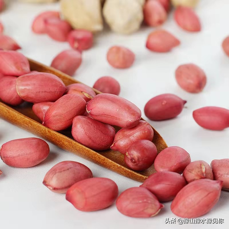 怪味花生五颜六色,发现生活中的每一抹色彩