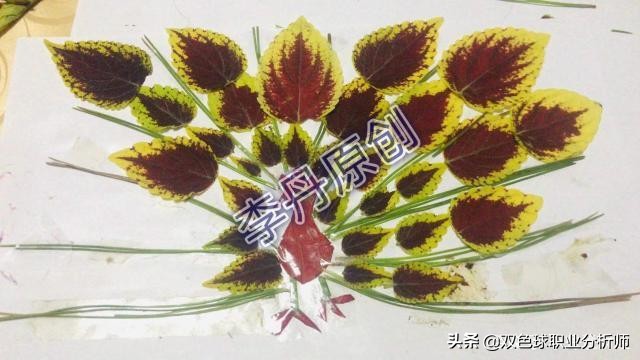 树叶手工制作最好看又简单合集,四个树叶就可以做出的小手工