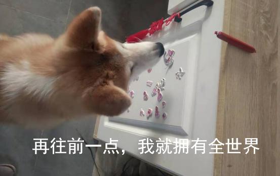 浙江高考数列放缩,高考数学数列大题还考吗