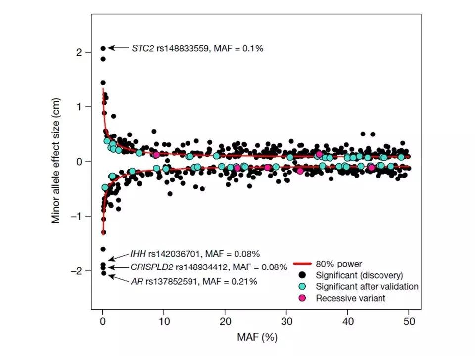 身高的秘密绘本,身高的秘密故事