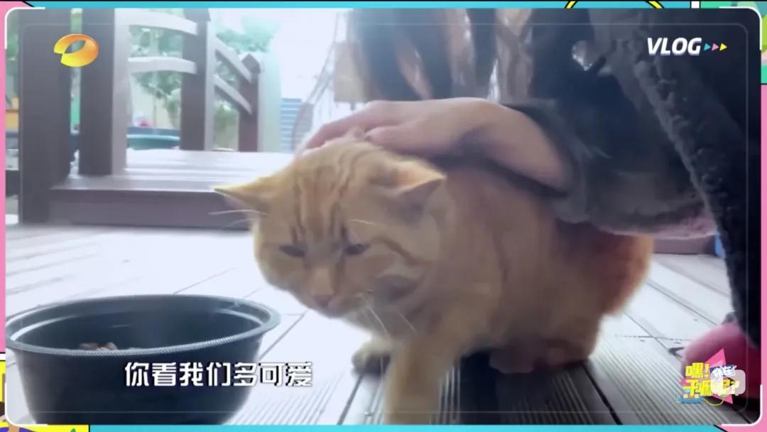 omg李佳琦原版素材,omg李佳琦香水