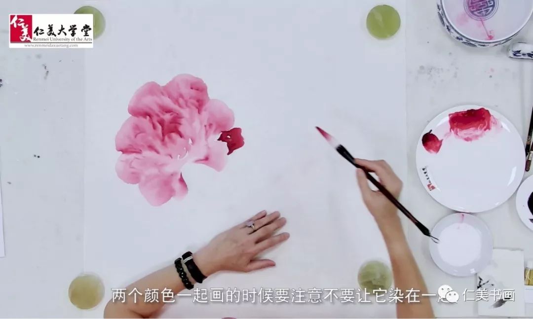 王雪涛牡丹画法教学书,王雪涛四尺写意横幅牡丹画