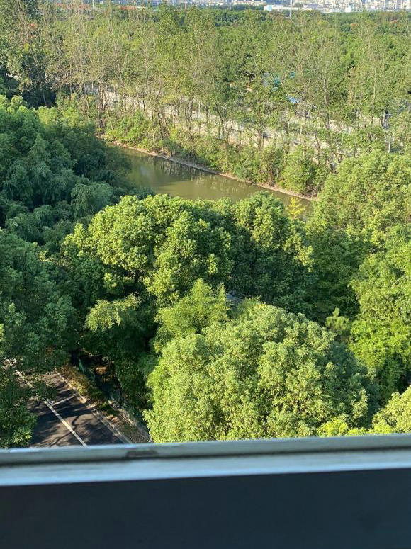 番禺野生笋壳鱼,野外笋壳鱼