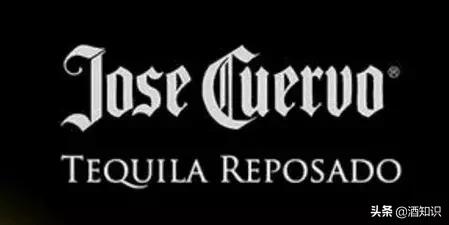 世界10大烈酒排行,世界十大烈酒排名度数