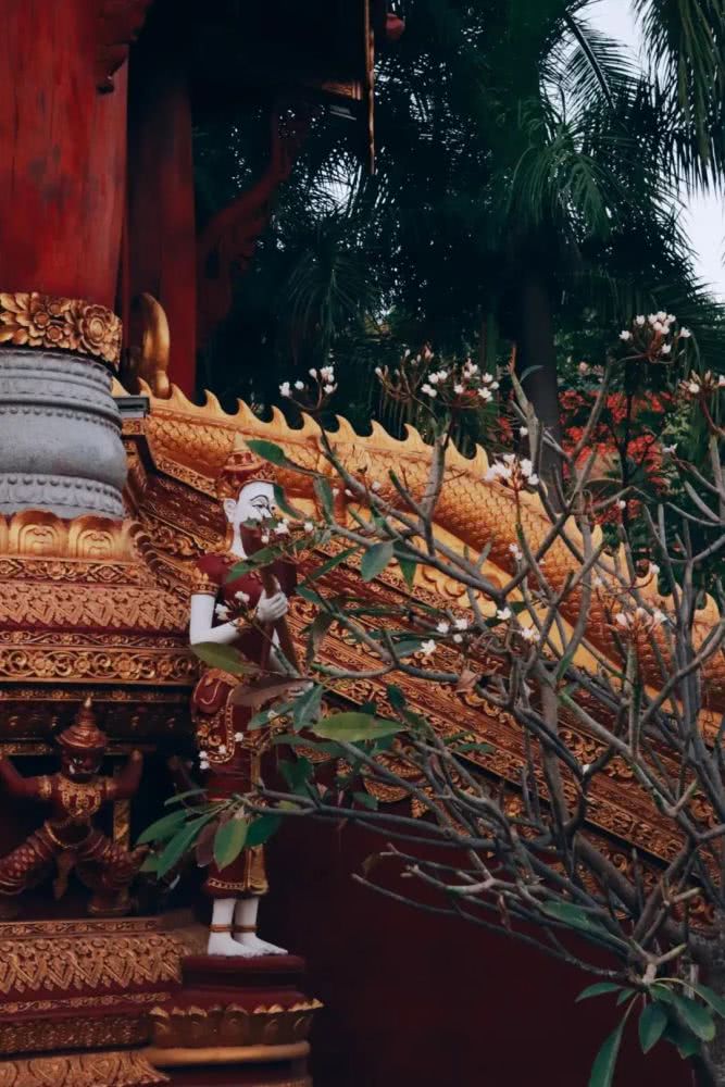 云南西双版纳幸福感,云南最有潜力的城市西双版纳