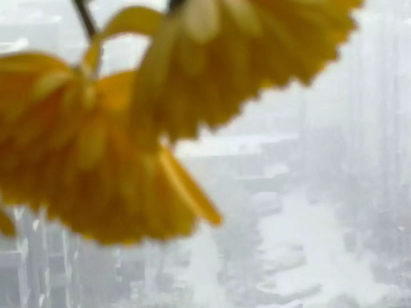 人间正道是沧桑1-50集,人间正道是沧桑出自哪首诗