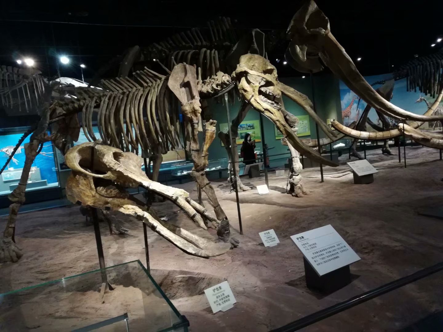 天津市内旅游攻略推荐,天津市区游玩攻略自由行攻略