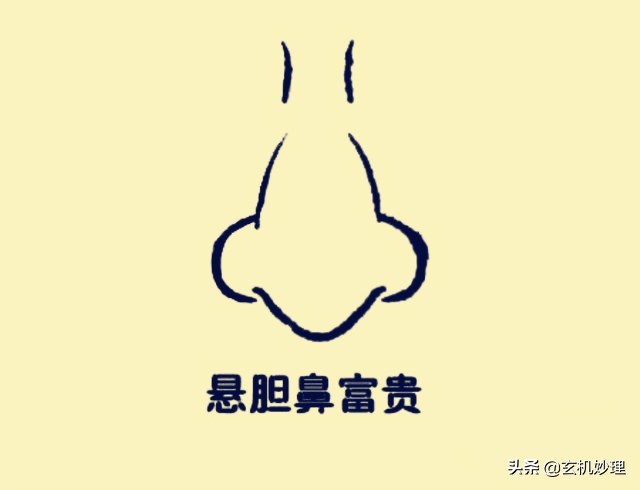 哪种面相的人最能聚财运,能聚财的面相有哪些