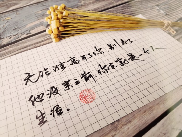 后来的后来，太多的念念不忘，败给了必有回响