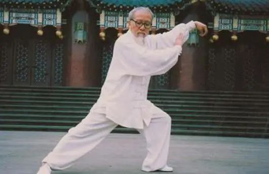 现实中的螳螂拳,中国螳螂拳流派