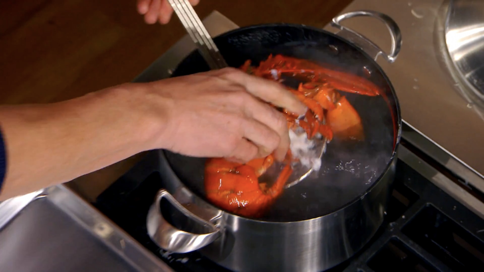 戈登拉姆齐龙虾肉,戈登拉姆齐取龙虾肉视频