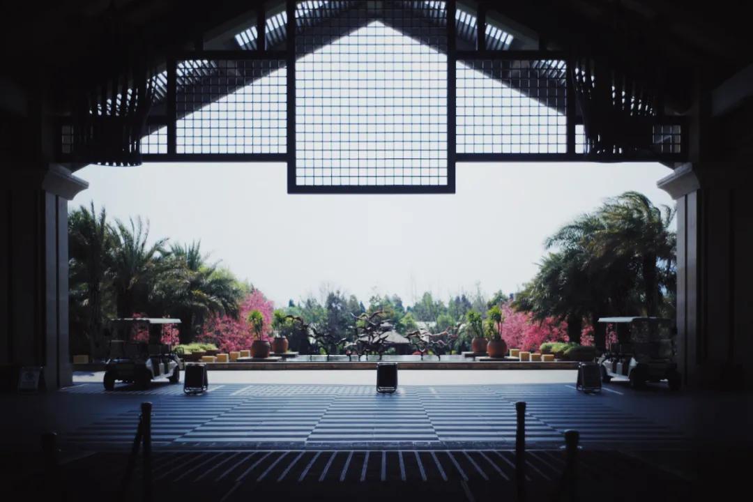 出发四季如春之地昆明,云南昆明攻略冬天