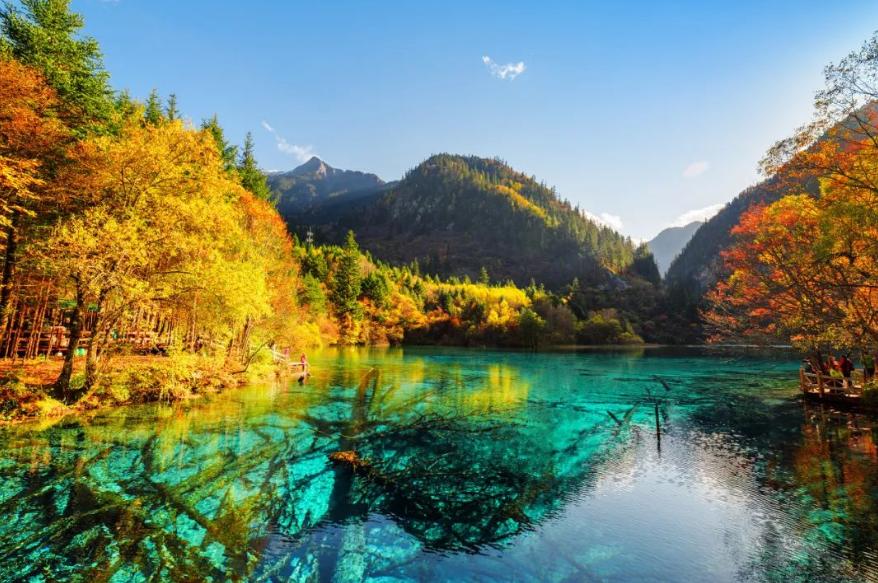 黄正华|客寄他乡两鬓秋，梦回少小一无忧（原创诗词十五首）