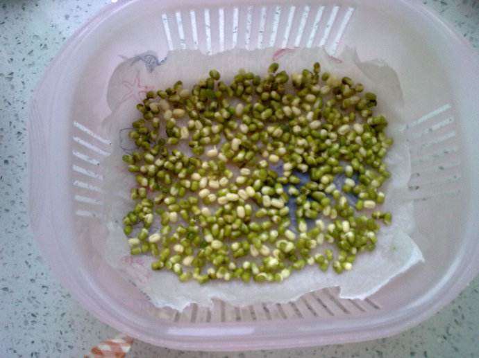 十几平露天阳台种菜怎么砌菜园,阳台怎么布置菜园