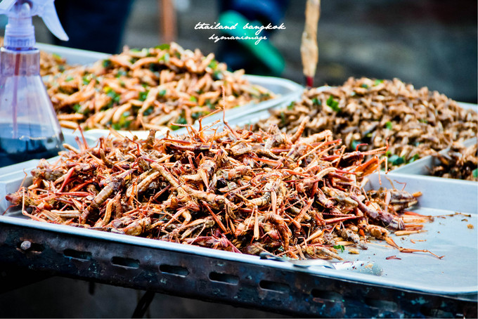 泰国吃美食视频大全,泰国旅游泰国美食