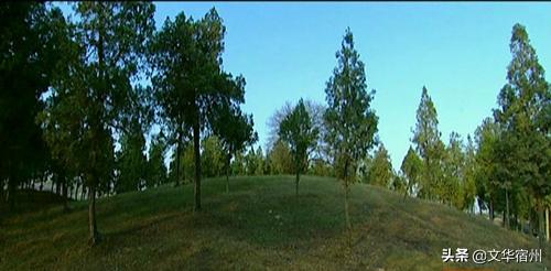 闵子骞诞辰,一代圣人闵子骞