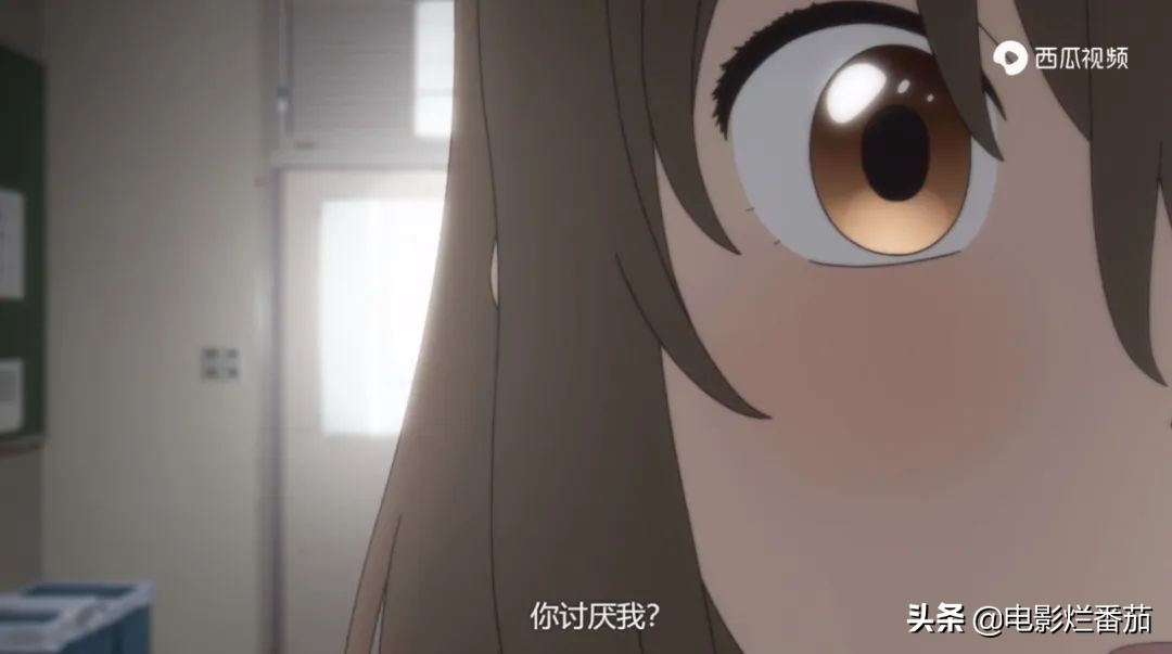 这部温情的撸猫片，让我哭得溃不成军，这是全世界猫*党**的胜利