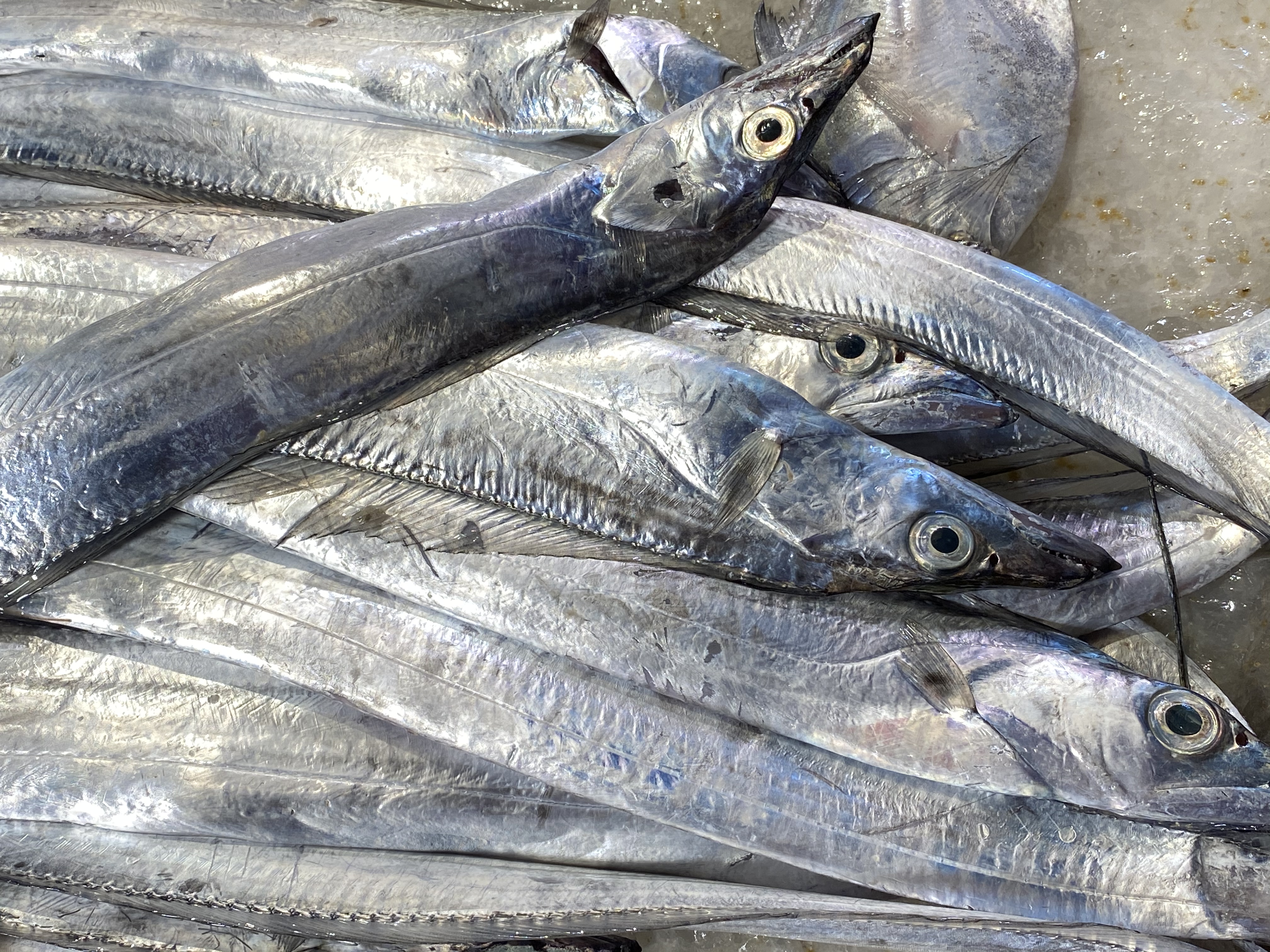 过年海鲜干货必备清单,过年海鲜什么最好吃又便宜