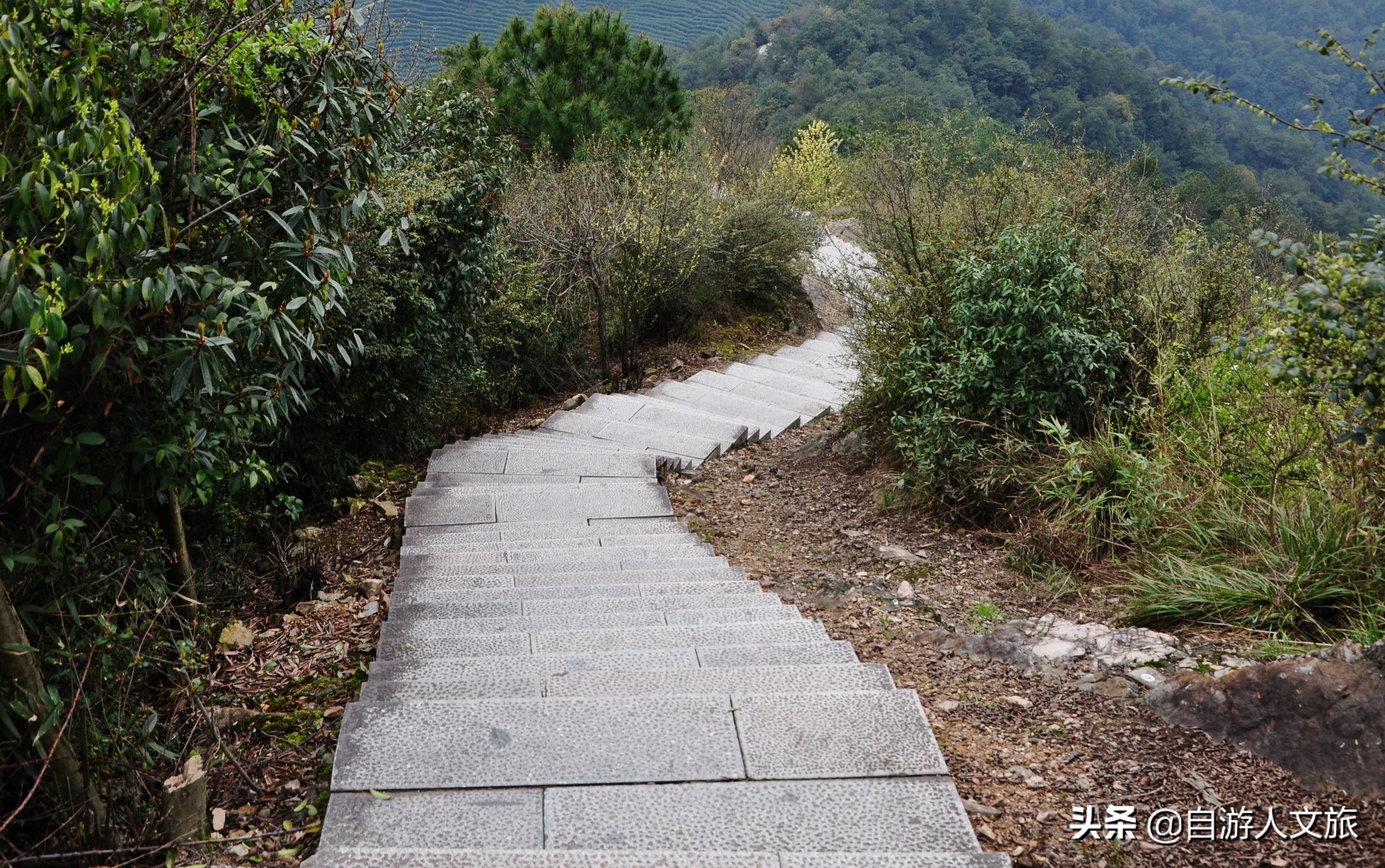 环西湖群山徒步毅行,行走西湖古诗词