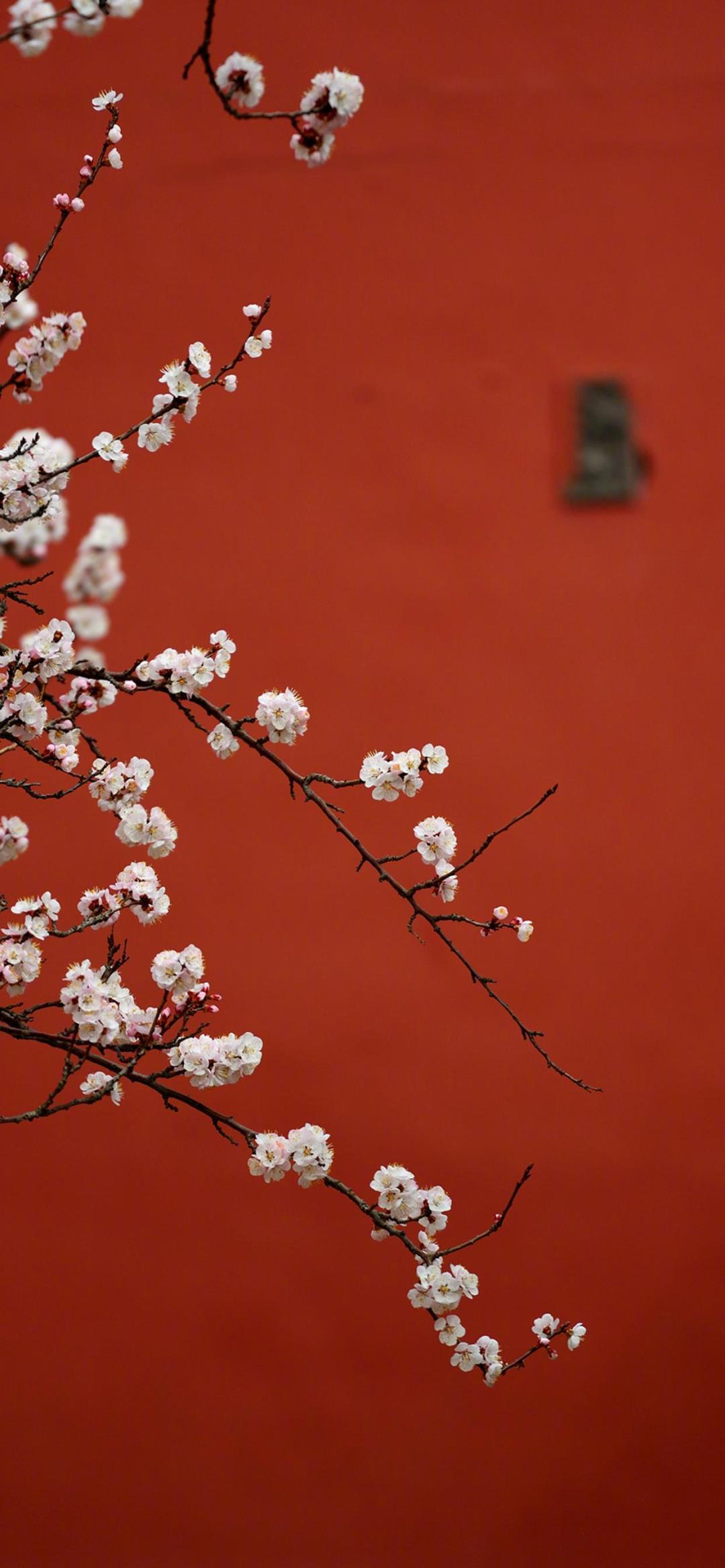 唯美意境古风高清壁纸,意境深幽古风壁纸高清